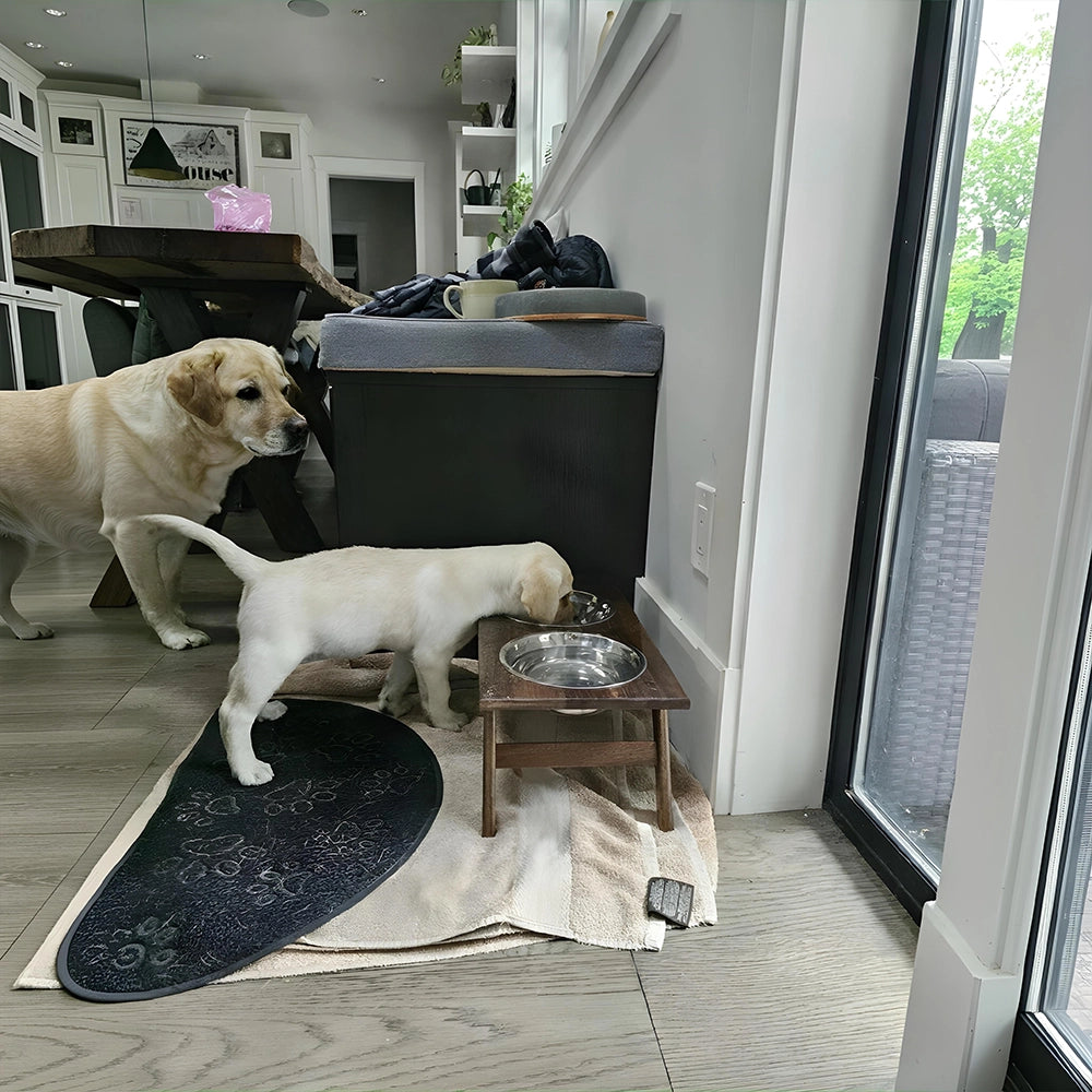 Walnut Dog Bowl Feeder Stand with Stainless Bowls